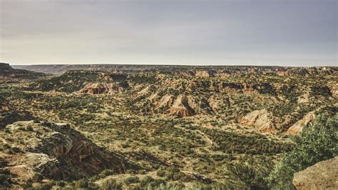 PANHANDLE .